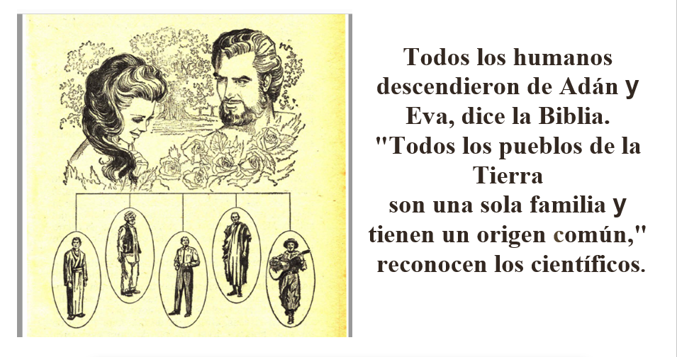 Reunión 6-12 Enero 2020