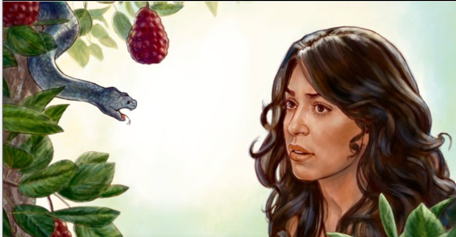 Vídeo reunión 13-19 enero 2020