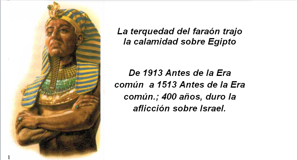 Videoreunion 10-16 Febrero 2020