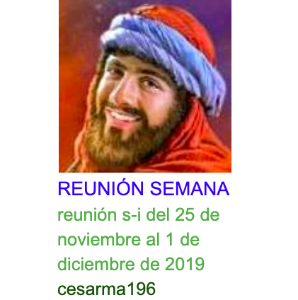 Más información sobre "reunion s-i del 25 de noviembre al 1 de diciembre de 2019"