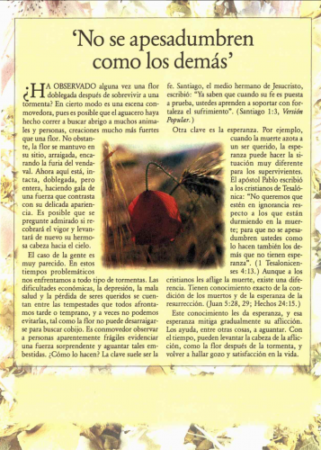 Más información sobre "15_OCT._94.png"
