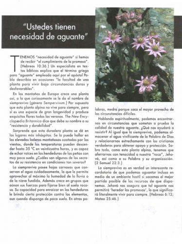 Más información sobre "1_ABR._96.png"