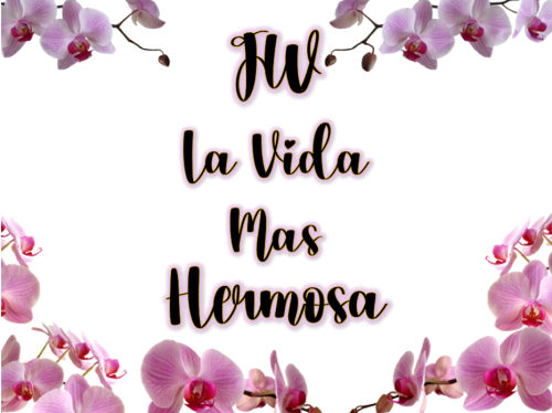 Más información sobre "La Vida Mas Hermosa"
