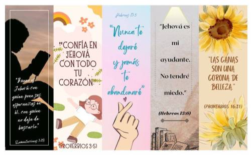 Más información sobre "Separadores"