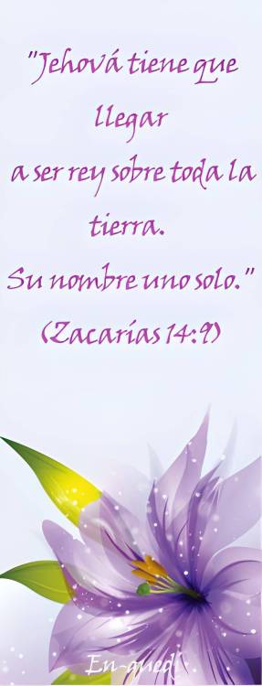 0·en-guedí Zacarías 14 9.png