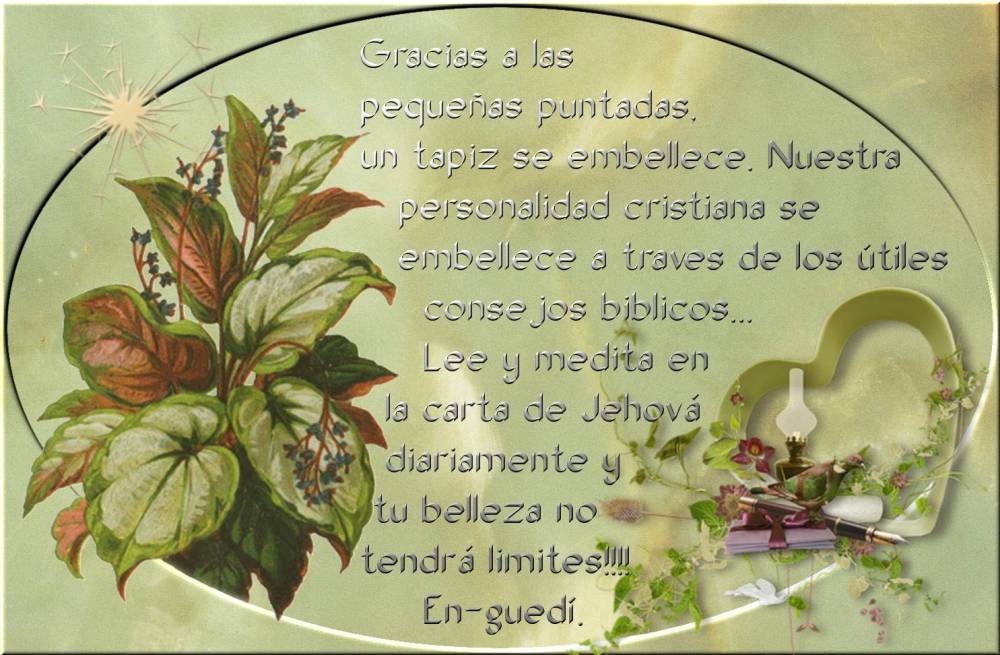 +en-guedí lee y medita.jpg