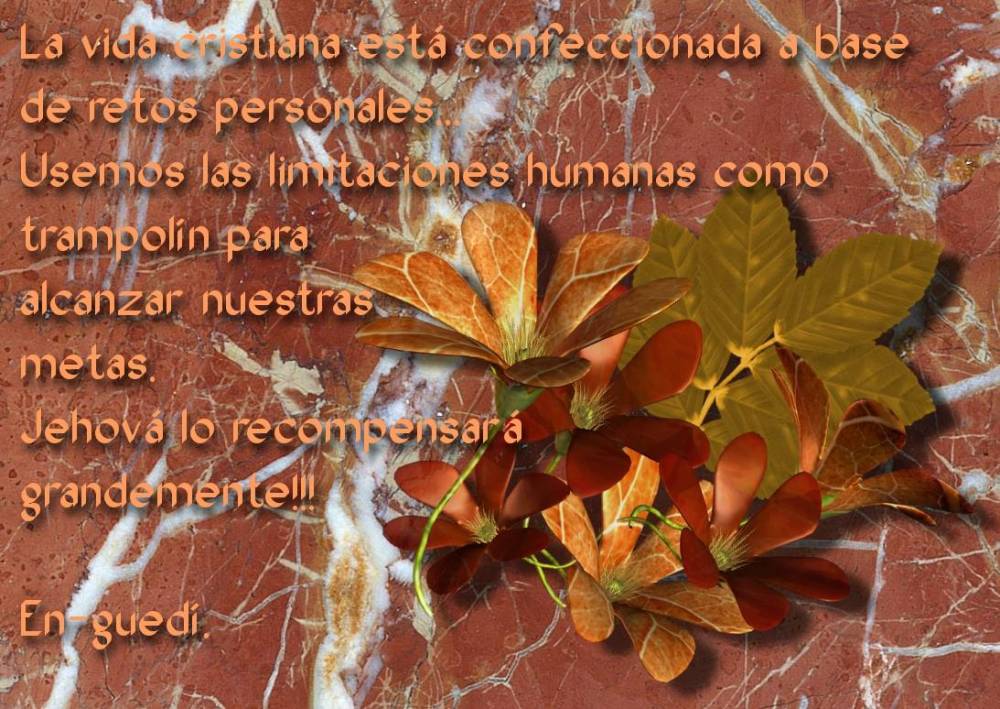 +en-guedí retos personales.jpg