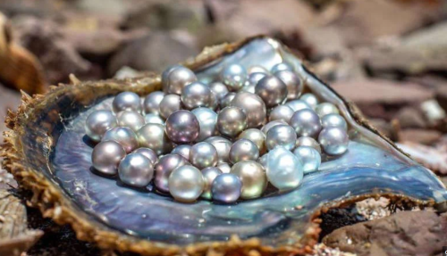 Más información sobre "Perlas Escondidas"