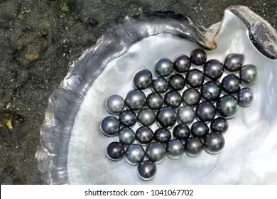 Más información sobre "Perlas escondidas 22/12/2025"