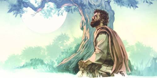 Más información sobre "Plantilla para la invitación para la conmemoración"